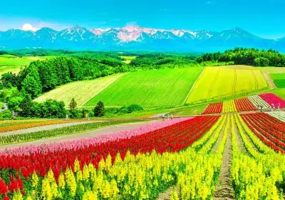 🌳 후카가와 공원